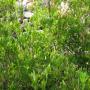 ./10_photos/2010-06-27 09.56.31.jpg